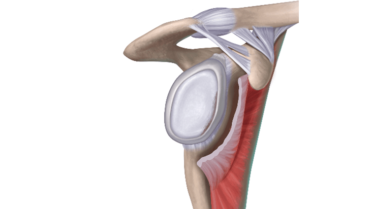Perform Diagnostic arthroscopy