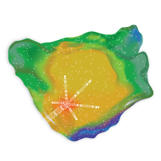 CARTO™ CONFIDENSE™ Module