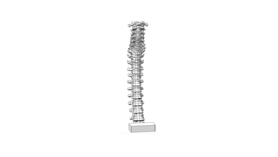 3D spine model shown on white background
