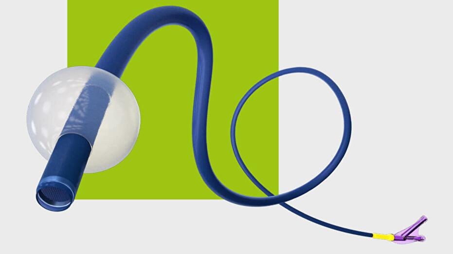 EMBOGUARD™ Balloon Guide Catheter